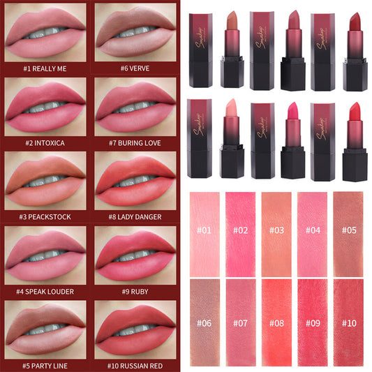 Rouge à Lèvres Mat - Résistant à la Décoloration et Sans Transfert