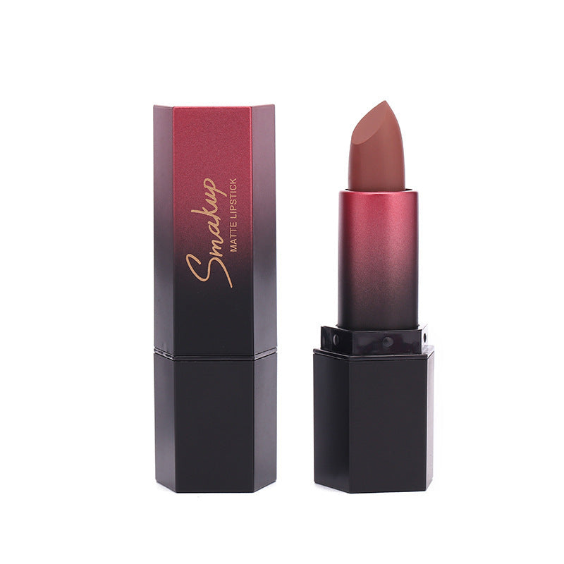 Rouge à Lèvres Mat - Résistant à la Décoloration et Sans Transfert