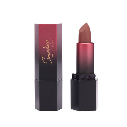 Rouge à Lèvres Mat - Résistant à la Décoloration et Sans Transfert