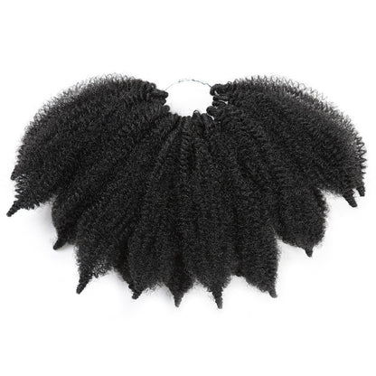 Dreadlocks Marley Braids Pointed Tail